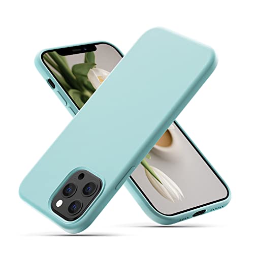 CALOOP Liquid Silicone Case Designed for iPhone 12 Pro Max Case, Full Body Protective Covered Soft Gel Rubber Slim Shockproof Cover Case with Microfiber Lining, 6.7 inch (Sky Blue) von CALOOP
