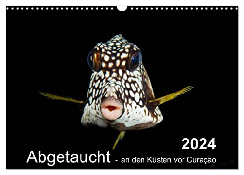 Abgetaucht - an den Küsten vor Curaçao (Wandkalender 2024 DIN A3 quer), CALVENDO Monatskalender von CALVENDO