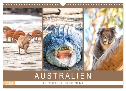 Australien, tierischer Kontinent (Wandkalender 2026 DIN A3 quer), CALVENDO Monatskalender von CALVENDO