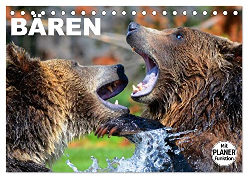 Bären (Tischkalender 2024 DIN A5 quer), CALVENDO Monatskalender von CALVENDO