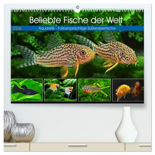 Beliebte Fische der Welt (hochwertiger Premium Wandkalender 2026 DIN A2 quer), Kunstdruck in Hochglanz von CALVENDO