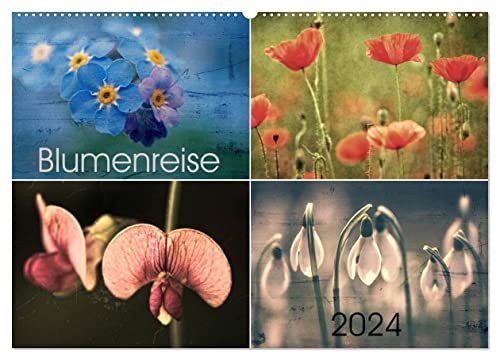 Blumenreise 2024 (Wandkalender 2024 DIN A2 quer), CALVENDO Monatskalender von CALVENDO