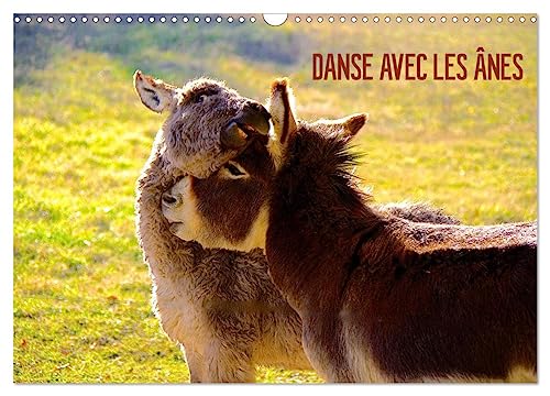 DANSE AVEC LES ÂNES (Calendrier mural 2024 DIN A3 horizontal), CALVENDO calendrier mensuel von CALVENDO