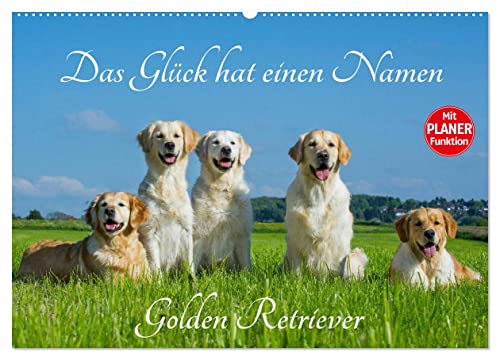 Das Glück hat einen Namen - Golden Retriever (Wandkalender 2024 DIN A2 quer), CALVENDO Monatskalender von CALVENDO