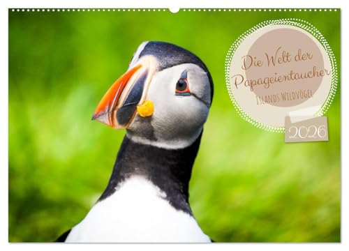 Die Welt der Papageientaucher - Islands Wildvögel (Wandkalender 2026 DIN A2 quer), CALVENDO Monatskalender von CALVENDO