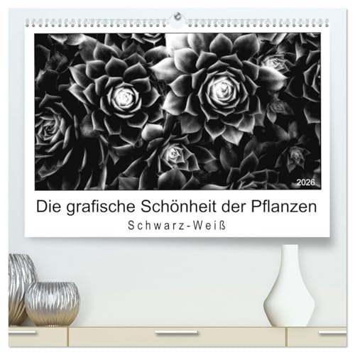 Die grafische Schönheit der Pflanzen – Schwarz-Weiß (hochwertiger Premium Wandkalender 2026 DIN A2 quer), Kunstdruck in Hochglanz von CALVENDO