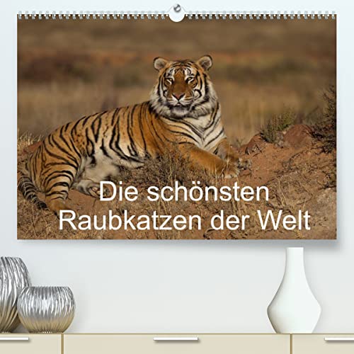 Die schönsten Raubkatzen der Welt (hochwertiger Premium Wandkalender 2024 DIN A2 quer), Kunstdruck in Hochglanz von CALVENDO