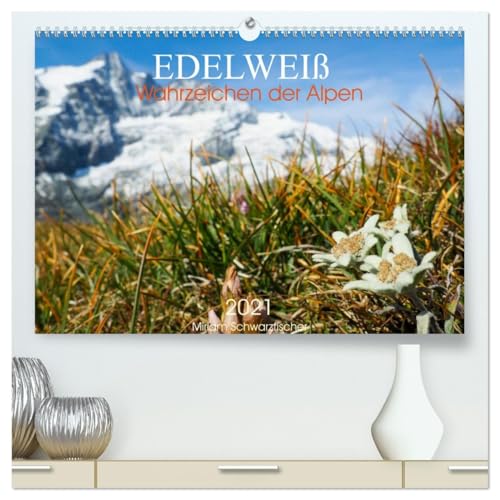 Edelweiß - Wahrzeichen der Alpen (hochwertiger Premium Wandkalender 2026 DIN A2 quer), Kunstdruck in Hochglanz von CALVENDO