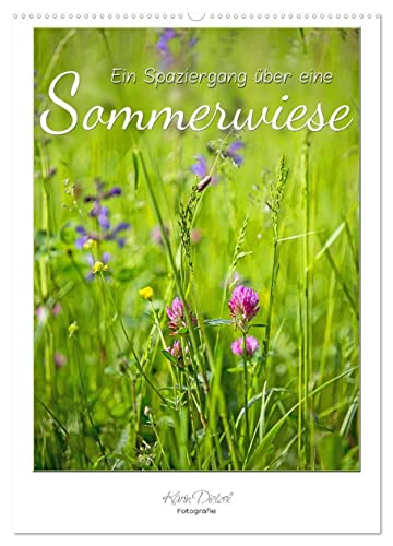 Ein Spaziergang über eine Sommerwiese (Wandkalender 2026 DIN A2 hoch), CALVENDO Monatskalender von CALVENDO