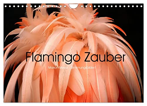 Flamingo Zauber (Wandkalender 2026 DIN A4 quer), CALVENDO Monatskalender von CALVENDO
