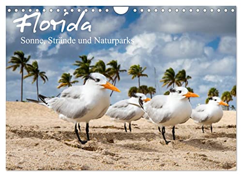 Florida - Sonne, Strände und Naturparks (Wandkalender 2023 DIN A4 quer): Florida - Impressionen aus dem Sunshine State (Monatskalender, 14 Seiten ) (CALVENDO Natur) von CALVENDO