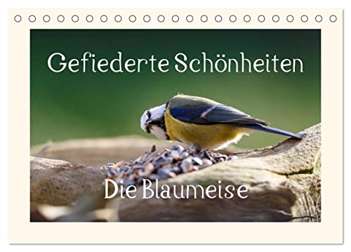 Gefiederte Schönheiten - Die Blaumeise (Tischkalender 2024 DIN A5 quer), CALVENDO Monatskalender von CALVENDO
