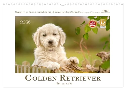 Golden Retriever... Herzenshunde (Wandkalender 2026 DIN A3 quer), CALVENDO Monatskalender von CALVENDO