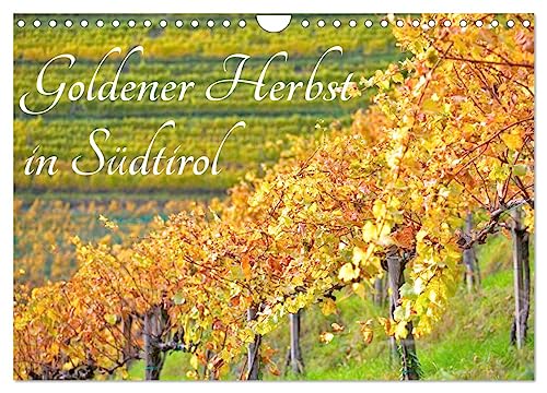 Goldener Herbst in Südtirol (Wandkalender 2026 DIN A4 quer), CALVENDO Monatskalender von CALVENDO