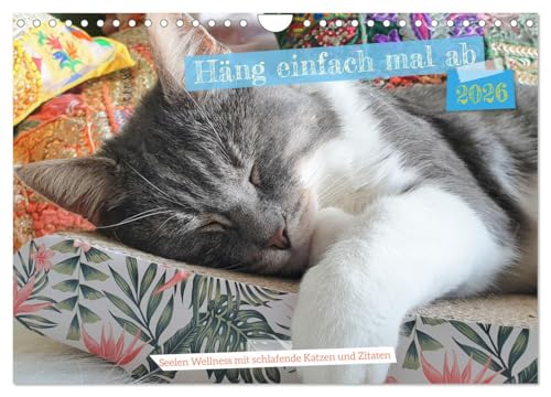Häng einfach mal ab (Wandkalender 2026 DIN A4 quer), CALVENDO Monatskalender von CALVENDO