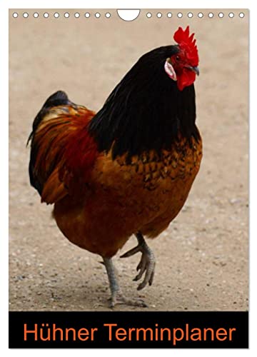 Hühner Terminplaner (Wandkalender 2024 DIN A4 hoch), CALVENDO Monatskalender von CALVENDO