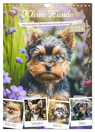Kleine Hunde. Süß und niedlich. Die beliebtesten Hunderassen (Wandkalender 2024 DIN A4 hoch), CALVENDO Monatskalender von CALVENDO
