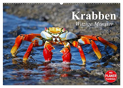 Krabben. Witzige Monster (Wandkalender 2024 DIN A2 quer), CALVENDO Monatskalender von CALVENDO