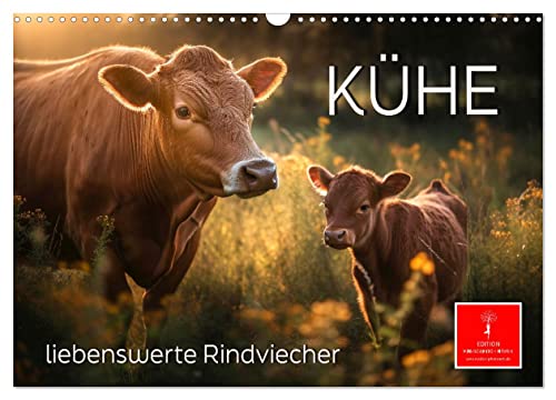 Kühe - liebenswerte Rindviecher (Wandkalender 2024 DIN A3 quer), CALVENDO Monatskalender von CALVENDO