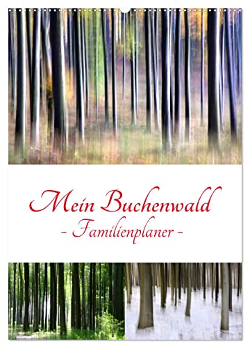 Mein Buchenwald - Familienplaner (Wandkalender 2024 DIN A2 hoch), CALVENDO Monatskalender von CALVENDO