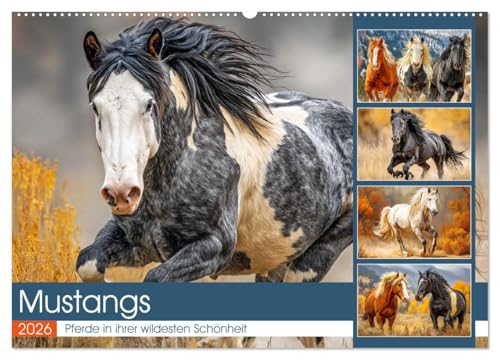 Mustangs. Pferde in ihrer wildesten Schönheit (Wandkalender 2026 DIN A2 quer), CALVENDO Monatskalender von CALVENDO