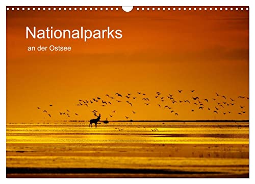 Nationalparks an der Ostsee (Wandkalender 2024 DIN A3 quer), CALVENDO Monatskalender von CALVENDO