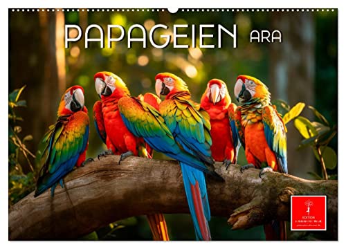 Papageien - Ara (Wandkalender 2024 DIN A2 quer), CALVENDO Monatskalender von CALVENDO