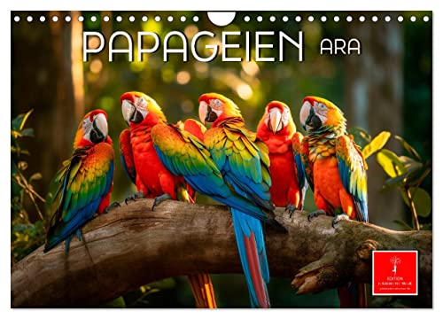 Papageien - Ara (Wandkalender 2024 DIN A4 quer), CALVENDO Monatskalender von CALVENDO