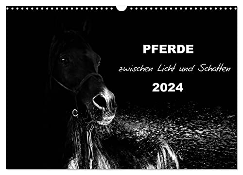 Pferde zwischen Licht und Schatten (Wandkalender 2024 DIN A3 quer), CALVENDO Monatskalender von CALVENDO