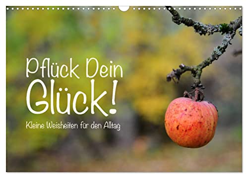 Pflück Dein Glück – Kleine Weisheiten für den Alltag (Wandkalender 2026 DIN A3 quer), CALVENDO Monatskalender von CALVENDO