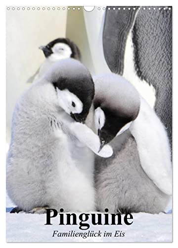 Pinguine. Familienglück im Eis (Wandkalender 2024 DIN A3 hoch), CALVENDO Monatskalender von CALVENDO