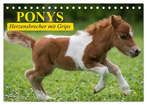 Ponys. Herzensbrecher mit Grips (Tischkalender 2024 DIN A5 quer), CALVENDO Monatskalender von CALVENDO