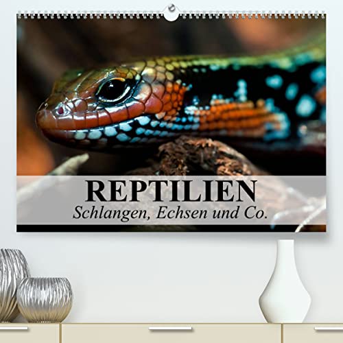 Reptilien Schlangen, Echsen und Co. (hochwertiger Premium Wandkalender 2024 DIN A2 quer), Kunstdruck in Hochglanz von CALVENDO