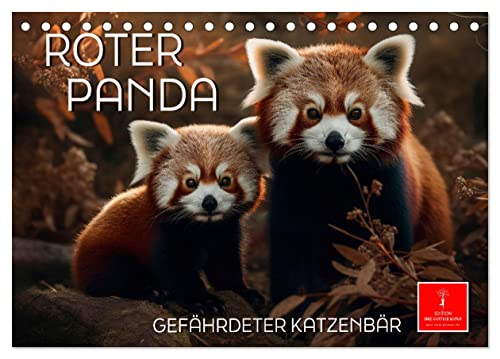 Roter Panda - gefährdeter Katzenbär (Tischkalender 2024 DIN A5 quer), CALVENDO Monatskalender von CALVENDO