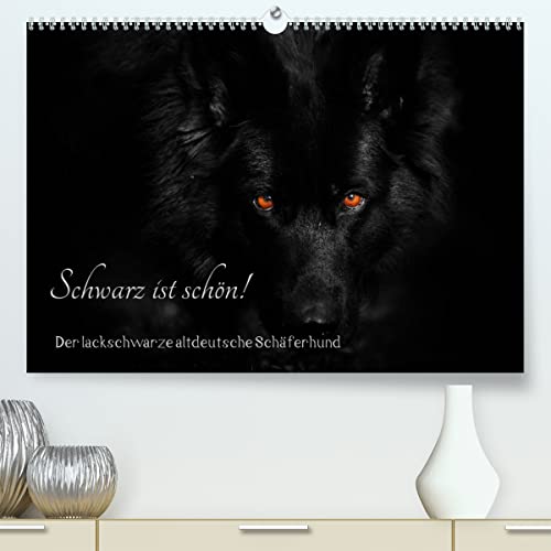 Schwarz ist schön! Der lackschwarze altdeutsche Schäferhund (hochwertiger Premium Wandkalender 2024 DIN A2 quer), Kunstdruck in Hochglanz von CALVENDO