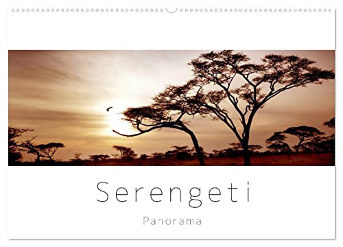 Serengeti Panorama (Wandkalender 2024 DIN A2 quer), CALVENDO Monatskalender von CALVENDO