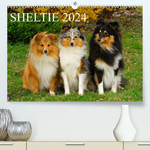 Sheltie 2024 (hochwertiger Premium Wandkalender 2024 DIN A2 quer), Kunstdruck in Hochglanz von CALVENDO