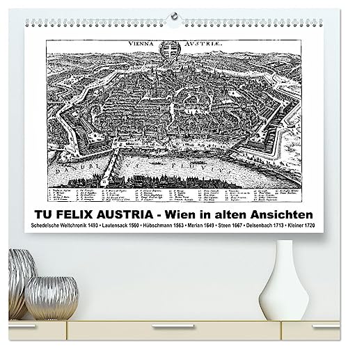TU FELIX AUSTRIA - Wien in alten Ansichten (hochwertiger Premium Wandkalender 2026 DIN A2 quer), Kunstdruck in Hochglanz von CALVENDO
