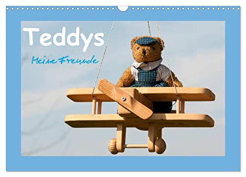 Teddys Meine Freunde (Wandkalender 2024 DIN A3 quer), CALVENDO Monatskalender von CALVENDO