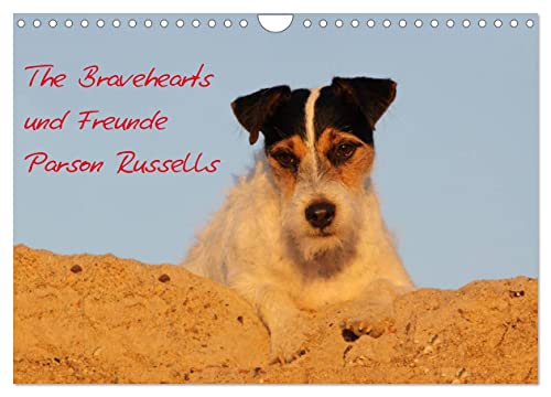 The Bravehearts und Freunde - Parson Russells (Wandkalender 2024 DIN A4 quer), CALVENDO Monatskalender von CALVENDO