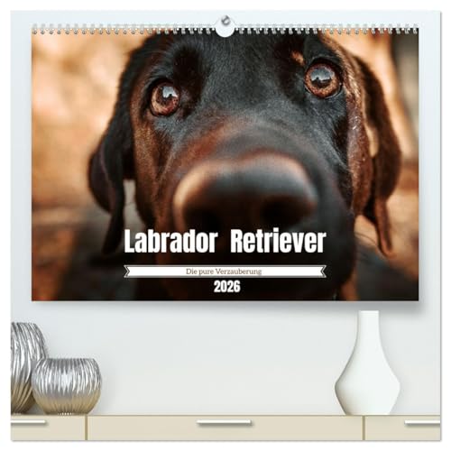 Verzauberung Labrador Retriever 2026 (hochwertiger Premium Wandkalender 2026 DIN A2 quer), Kunstdruck in Hochglanz von CALVENDO