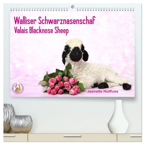Walliser Schwarznasenschaf Valais Blacknose Sheep (hochwertiger Premium Wandkalender 2026 DIN A2 quer), Kunstdruck in Hochglanz von CALVENDO