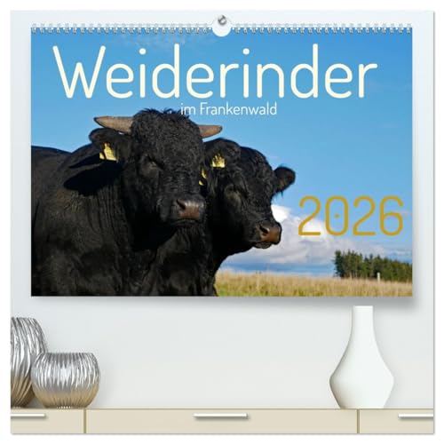 Weiderinder im Frankenwald (hochwertiger Premium Wandkalender 2026 DIN A2 quer), Kunstdruck in Hochglanz von CALVENDO