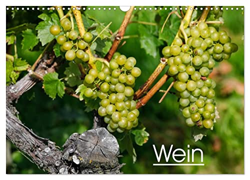 Wein (Wandkalender 2024 DIN A3 quer), CALVENDO Monatskalender von CALVENDO