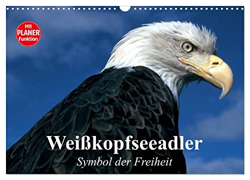 Weißkopfseeadler. Symbol der Freiheit (Wandkalender 2024 DIN A3 quer), CALVENDO Monatskalender von CALVENDO