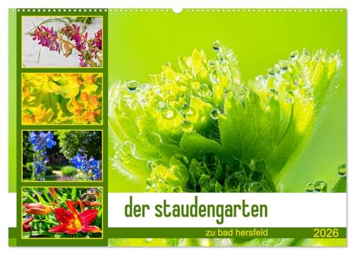 der staudengarten zu bad hersfeld (Wandkalender 2026 DIN A2 quer), CALVENDO Monatskalender von CALVENDO