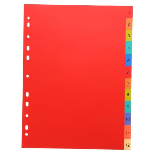 CANIGHT Indexseiten Trennwand, Farbige Kunststoff Binderseiten, Farbige Binder Trennblätter, Klassifizierungsregister, Lesezeichen, Notizblock Register, Trennblätter Für Binder, Farbige von CANIGHT