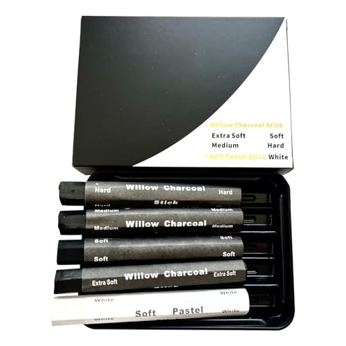 Kohlestifte zum Skizzieren Kohlestifte Set Wasserlösliche Kohlestreifen Kohle Zeichenset von CANNXI