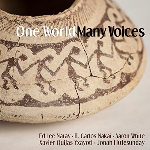 Various - One World Many Voices - Native American Music von CANYON RECORDS