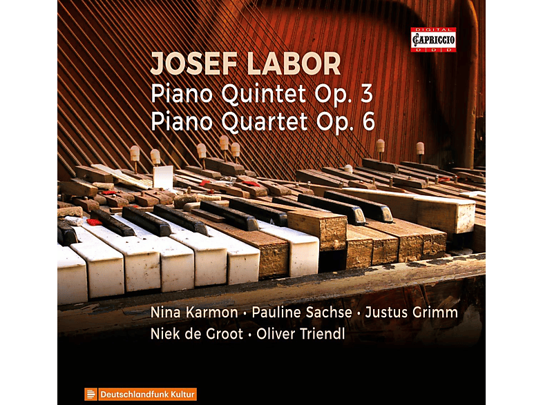 Nina Karmon, Pauline Sachse, Julius Otto Grimm, Oliver Triendl, Niek de Groot - Piano Quintet op.3,Piano Quartet op.6 (CD) von CAPRICCIO